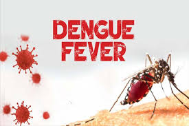 Dengue NS Antigen