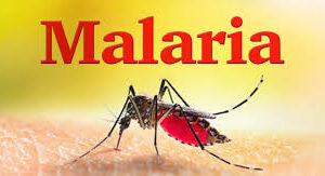 Malarial Antigen